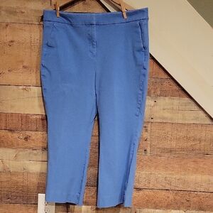 J. Crew Light Blue Kelsey Pants
